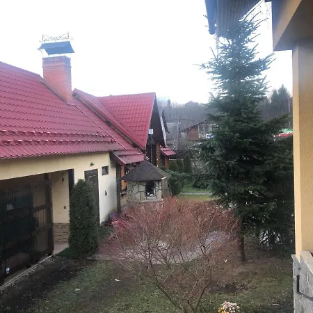 Prutets Гостевой дом *